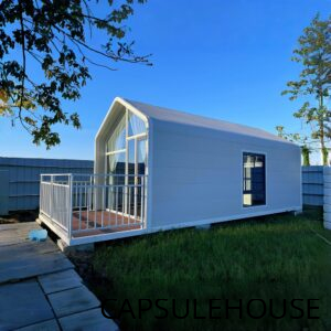 Alternative view of Natural House N1