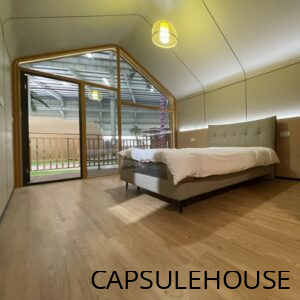Alternative view of Natural House N2